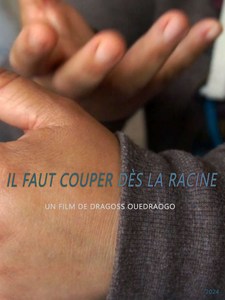 Il faut couper dès la racine