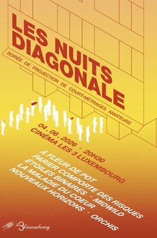 LES NUITS DIAGONALE JUIN 2026