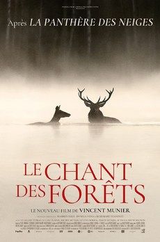 AVANT-PREMIÈRE + RENCONTRE : Le Chant des forêts