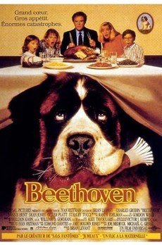 SÉANCE DOG FRIENDLY : Beethoven