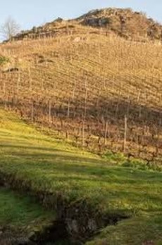 Les coteaux du Pont Barré : Terre de nature et d'homme