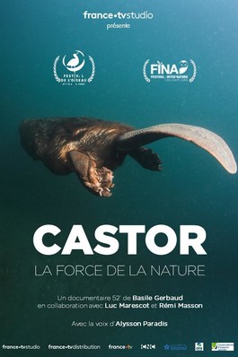 Castor, la force de la nature