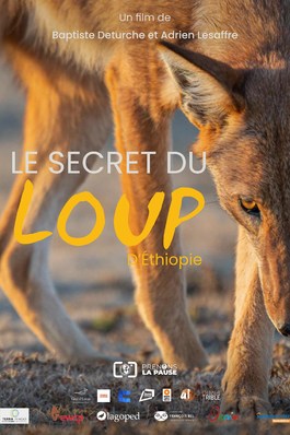 Le secret du loup d'Ethiopie