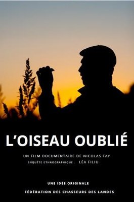 L'oiseau oublié