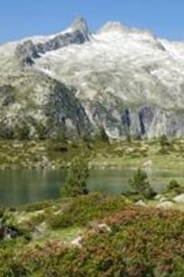CONFÉRENCE : 150 ans d'histoire des paysages pyrénéens au temps de la grande accélération