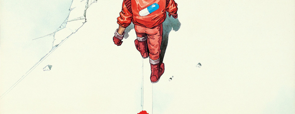 Photo du film Akira VIP