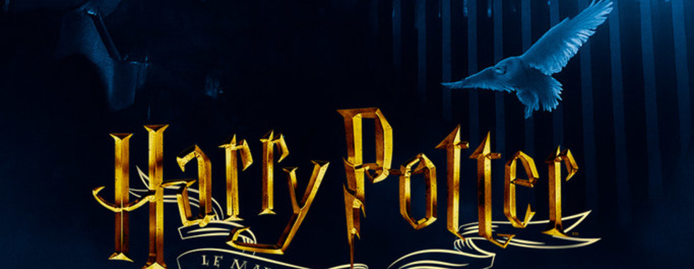 Photo du film Marathon Harry Potter (Salle Infinite)