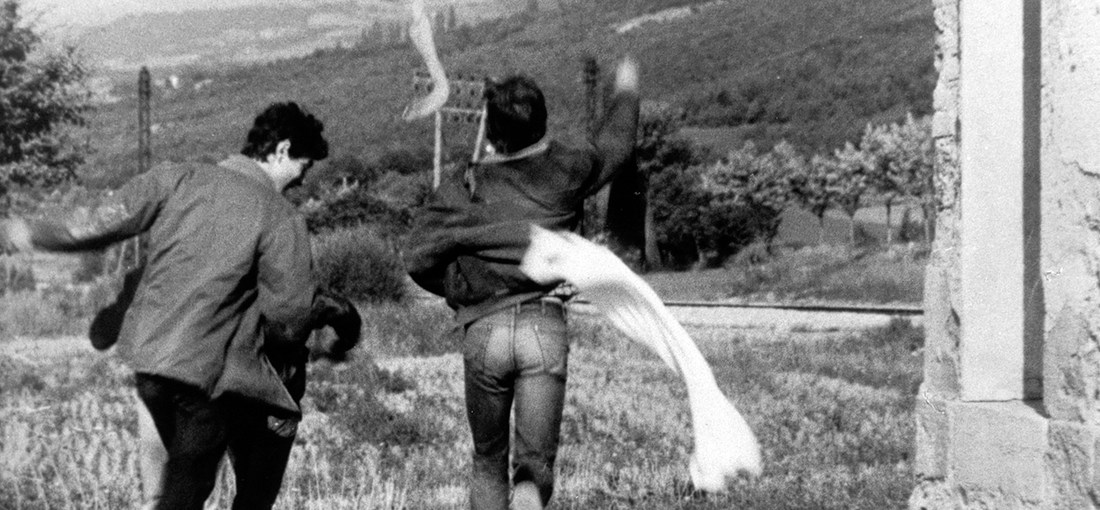 Photo du film Au hasard Balthazar