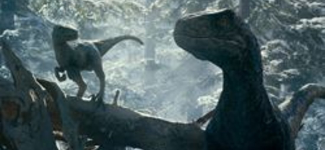 Photo du film Jurassic World: Le Monde d'après