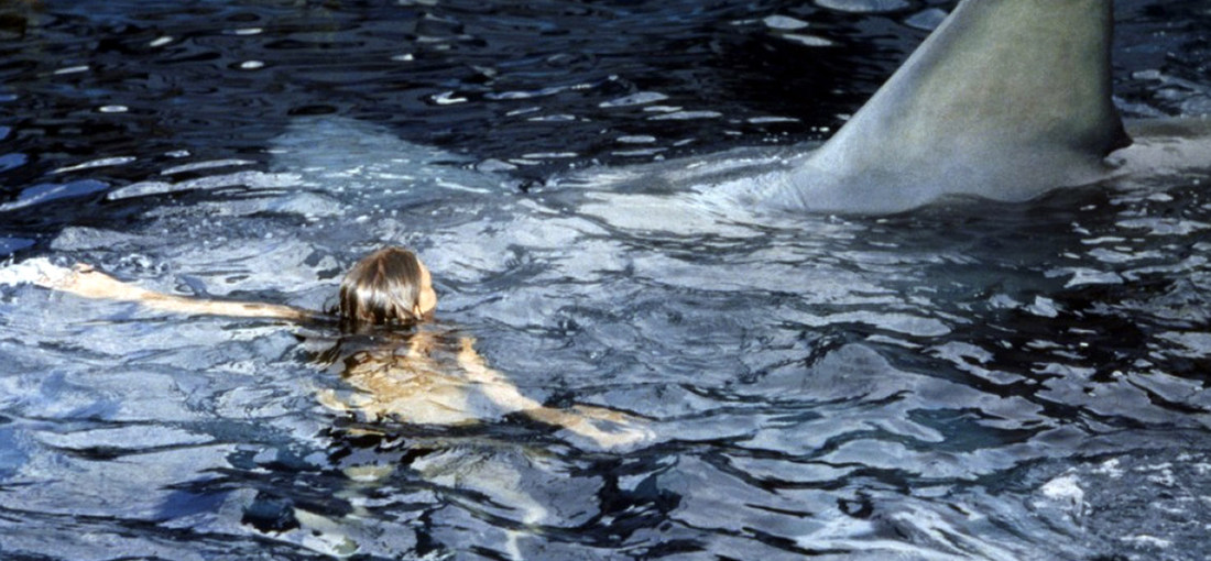 Photo du film Les Dents de la Mer