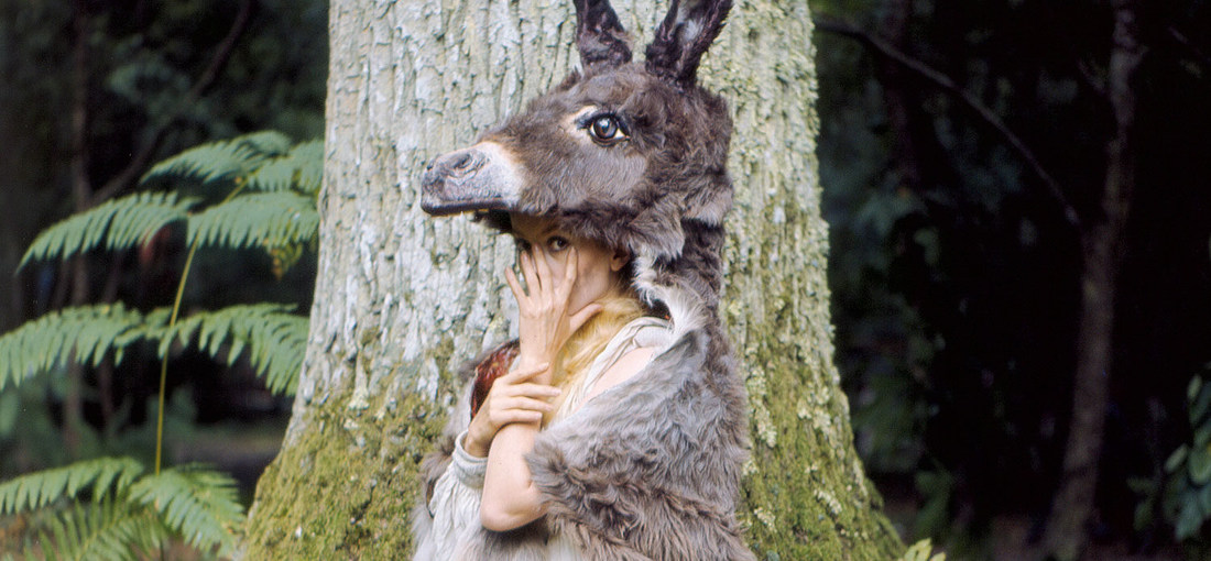 Photo du film Peau d'âne