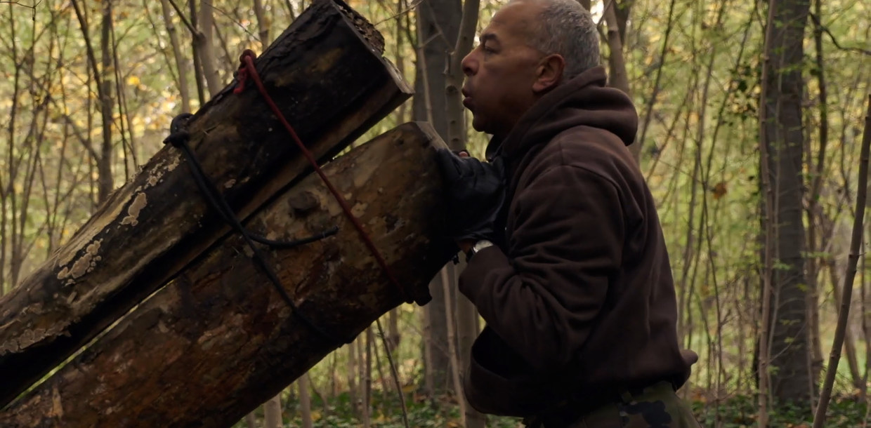 Le Bois Dont Les Rêves Sont Faits Le Bois dont les rêves sont faits (2016) au Cinéma Lyon - Comoedia