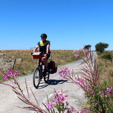 Photo 1 pour COMPOSTELLE A VELO