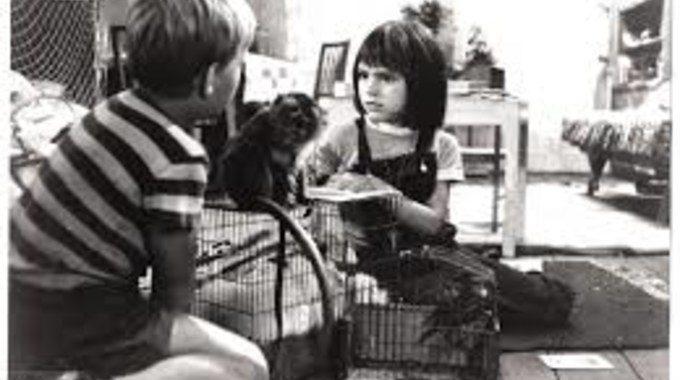 Photo du film Katia et le crocodile