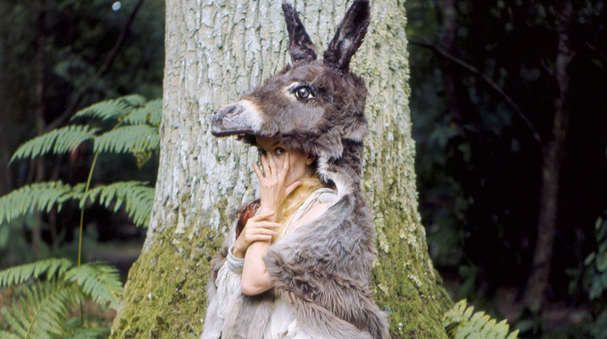 Photo du film Peau d'âne