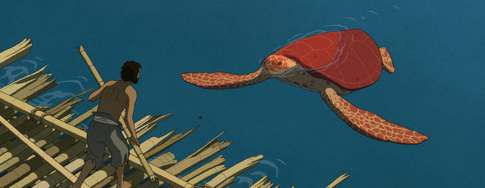 Photo du film La Tortue rouge